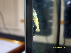 gallery_9962_1778_36284.jpg