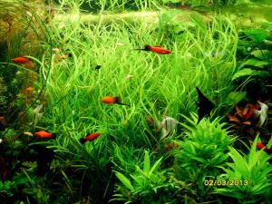 gallery_9962_1778_65624.jpg