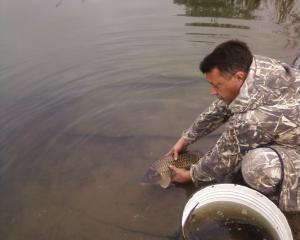 gallery_27088_1781_110169.jpg