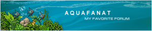 gallery_14047_1213_29108.png