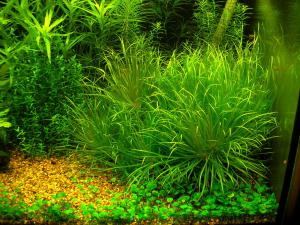 gallery_9692_1791_390691.jpg