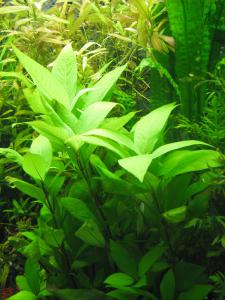 gallery_22462_1800_474234.jpg