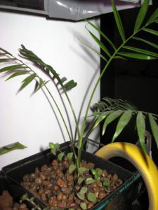 gallery_14122_1802_343050.jpg