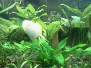 gallery_20905_1801_449552.jpg