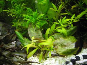 gallery_22462_1800_1528147.jpg
