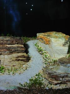 gallery_25364_1761_300425.jpg