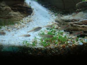 gallery_25364_1761_276036.jpg