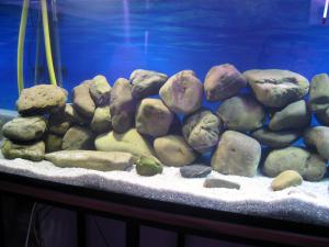 gallery_14122_1816_61244.jpg