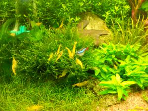 gallery_20942_1475_870164.jpg