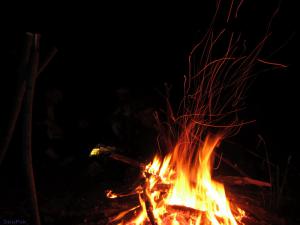 gallery_25304_1829_5721.jpg