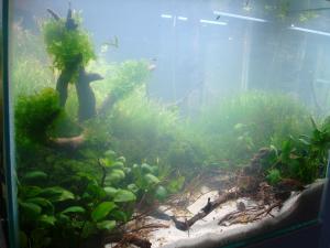 gallery_25364_1847_355401.jpg
