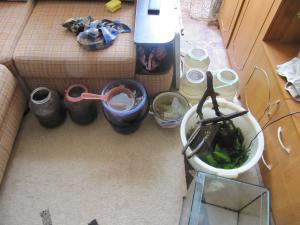 gallery_16593_1858_354275.jpg