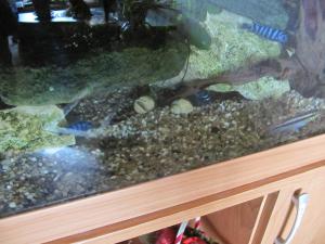 gallery_16593_1858_1464760.jpg
