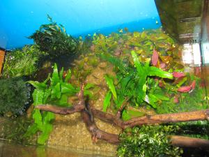 gallery_16593_1858_2873141.jpg