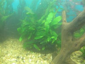 gallery_16593_1858_366534.jpg
