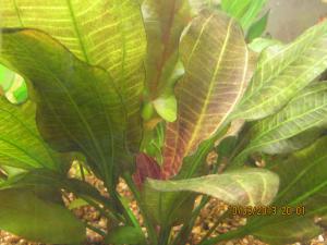 gallery_16798_1864_2349713.jpg