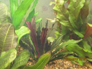 gallery_16798_1864_2607067.jpg