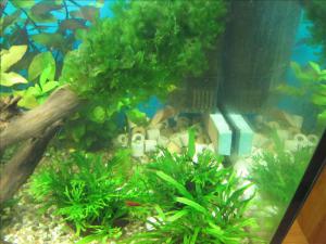 gallery_16593_1858_16491.jpg