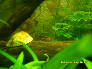 gallery_26333_1866_2044926.jpg