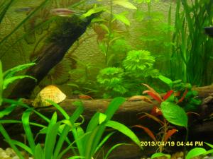 gallery_26333_1866_2506488.jpg