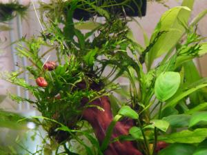 gallery_15496_1870_813743.jpg