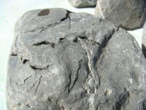 gallery_10001_838_107510.jpg