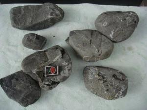 gallery_10001_838_181940.jpg