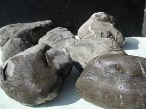 gallery_10001_838_7258.jpg