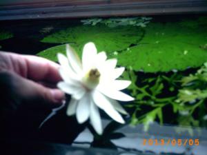 gallery_23388_1874_24852.jpg