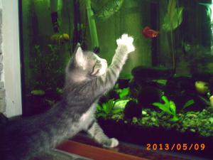gallery_23388_1874_65656.jpg