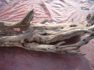 gallery_10001_838_206845.jpg