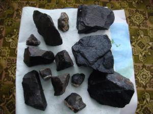 gallery_10001_838_35550.jpg