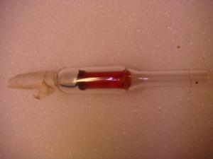 gallery_10001_838_39499.jpg