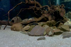 gallery_9962_1882_17366.jpg