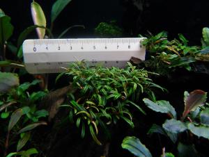 gallery_13564_1901_133388.jpg