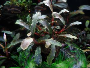 gallery_13564_1901_202512.jpg