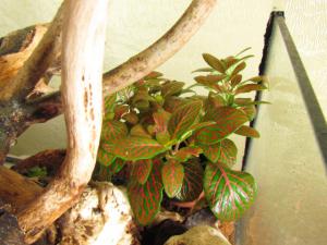 gallery_15313_1912_124980.jpg