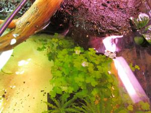gallery_15313_1912_25466.jpg