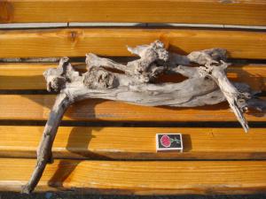 gallery_10001_838_102529.jpg