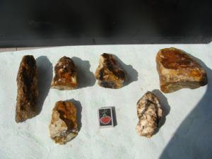 gallery_10001_838_150072.jpg
