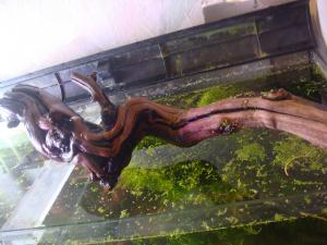 gallery_10001_838_157153.jpg