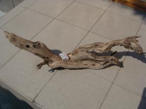 gallery_10001_838_49450.jpg