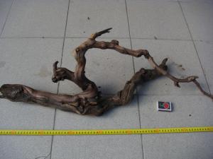 gallery_10001_838_82235.jpg