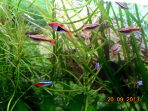 gallery_23003_1989_303188.jpg
