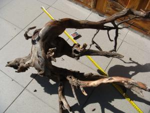 gallery_10001_838_223387.jpg