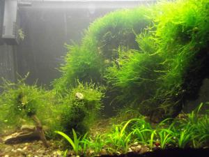 gallery_23332_2014_309433.jpg