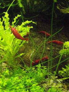 gallery_23332_2014_486034.jpg