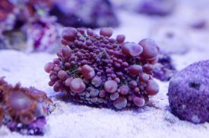 gallery_7405_2015_1336047.jpg