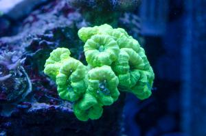 gallery_7405_2015_518777.jpg