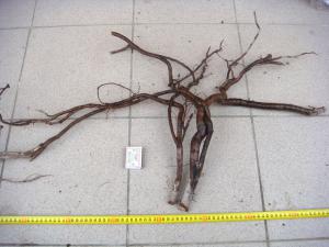 gallery_10001_838_178042.jpg